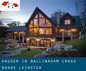 Häuser in Ballinagam Cross Roads (Leinster)